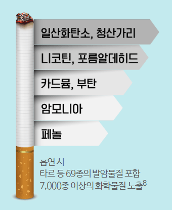 니코레트 껌 가격 직구 복용법 효과 니코틴 담배 금연 니코틴껌 금연껌